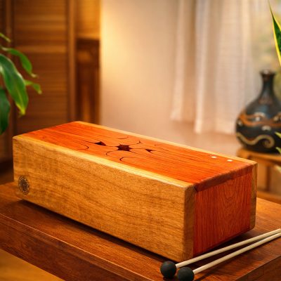 The Doctah B Sirius Medicine Drum 2