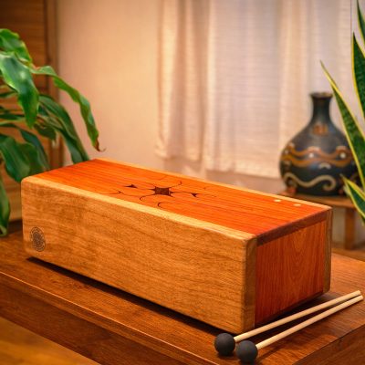 The Doctah B Sirius Medicine Drum 2