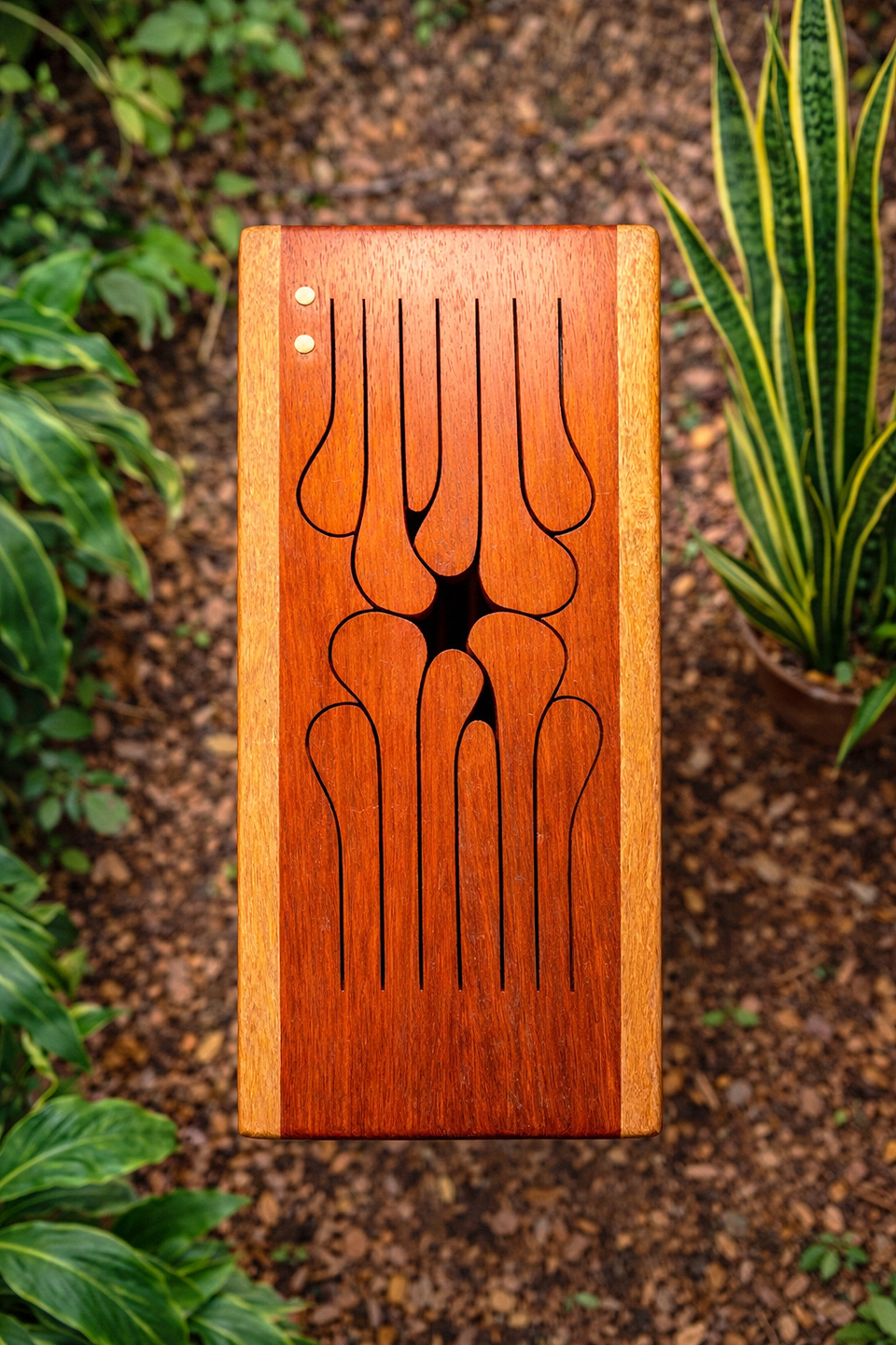 The Doctah B Sirius Medicine Drum 2 - Image 4